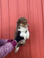 processed/37762568-6e1d-4539-b6d5-9adf55f31d44/listing/9519dd6a-7335-4d69-ada2-7bb0a0f506e7/85bc17f5-d67c-40bd-805b-cead793abab4