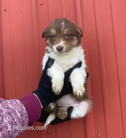 processed/37762568-6e1d-4539-b6d5-9adf55f31d44/listing/9519dd6a-7335-4d69-ada2-7bb0a0f506e7/9ccdc9ef-6ad1-45d3-9c45-1e01ce2d73e0