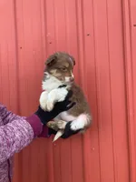 processed/37762568-6e1d-4539-b6d5-9adf55f31d44/listing/9519dd6a-7335-4d69-ada2-7bb0a0f506e7/b9d53512-e55b-4b43-8208-f0a4906d1503