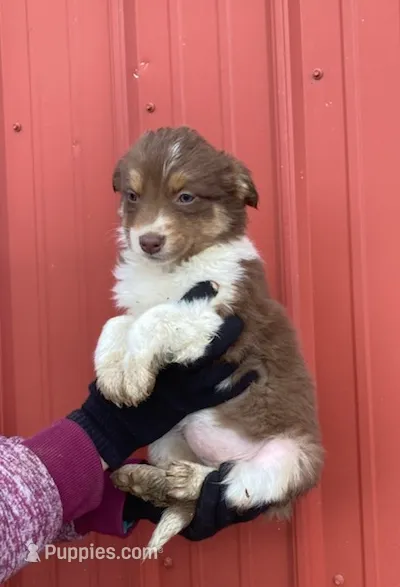 processed/37762568-6e1d-4539-b6d5-9adf55f31d44/listing/9519dd6a-7335-4d69-ada2-7bb0a0f506e7/e28da5c3-9972-44fc-8d4b-83a502c08b3f