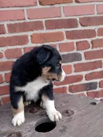 processed/37762568-6e1d-4539-b6d5-9adf55f31d44/listing/a3842959-0512-4235-b102-19ae90069005/50ccc8d7-5bed-4347-8f4e-208efcff2594