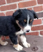 processed/37762568-6e1d-4539-b6d5-9adf55f31d44/listing/a3842959-0512-4235-b102-19ae90069005/6e456f1d-565c-4e88-b3a2-9a5cde016e4c