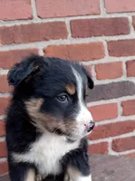 processed/37762568-6e1d-4539-b6d5-9adf55f31d44/listing/a3842959-0512-4235-b102-19ae90069005/c327b0bf-e322-4ddc-b2cb-53c25088fd69