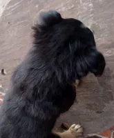 processed/37762568-6e1d-4539-b6d5-9adf55f31d44/listing/a3842959-0512-4235-b102-19ae90069005/c91afab8-d65e-430a-ab53-ddf2b061fdc5