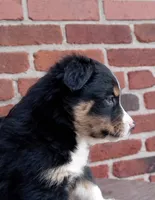 processed/37762568-6e1d-4539-b6d5-9adf55f31d44/listing/a3842959-0512-4235-b102-19ae90069005/d14e1345-3b66-4e85-b7b2-db0b682c12d9