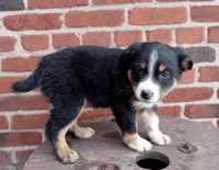 processed/37762568-6e1d-4539-b6d5-9adf55f31d44/listing/a3842959-0512-4235-b102-19ae90069005/f8fdcd3a-fba9-4e5a-8e42-ce070e7c8d92