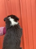 processed/37762568-6e1d-4539-b6d5-9adf55f31d44/listing/c8fd6aa7-7f19-4582-891c-c3e412152bbb/2b11f80f-be57-401d-8460-52e41d181223