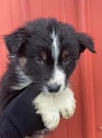 processed/37762568-6e1d-4539-b6d5-9adf55f31d44/listing/c8fd6aa7-7f19-4582-891c-c3e412152bbb/bc5fbfec-2641-48e6-ac0e-36382122af83