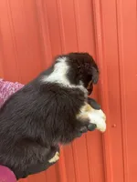 processed/37762568-6e1d-4539-b6d5-9adf55f31d44/listing/c8fd6aa7-7f19-4582-891c-c3e412152bbb/cc1c3f56-80df-4bbf-ad49-8b32e56df269