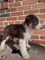 processed/37762568-6e1d-4539-b6d5-9adf55f31d44/listing/d79e1e4d-1190-41cb-a423-da1bebaf6445/12bf81b2-1454-44a5-9abd-f9c71bd79f85