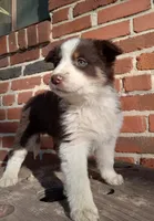 processed/37762568-6e1d-4539-b6d5-9adf55f31d44/listing/d79e1e4d-1190-41cb-a423-da1bebaf6445/215b63b8-da90-429e-a703-3894c42bfe24