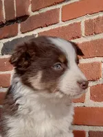 processed/37762568-6e1d-4539-b6d5-9adf55f31d44/listing/d79e1e4d-1190-41cb-a423-da1bebaf6445/504f6b55-e6ed-4abb-8b6a-41f7c2f17faa