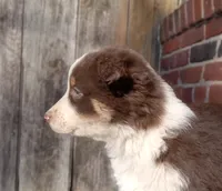 processed/37762568-6e1d-4539-b6d5-9adf55f31d44/listing/d79e1e4d-1190-41cb-a423-da1bebaf6445/a508f7ee-00bf-4e94-8a1a-58f5a84c1579