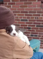 processed/37762568-6e1d-4539-b6d5-9adf55f31d44/listing/d79e1e4d-1190-41cb-a423-da1bebaf6445/e0cb2ad9-7955-4bea-9f83-c33ed9c7647e