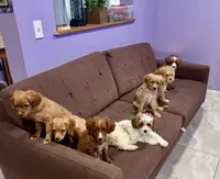 processed/377fd6f8-174f-4a97-b94e-13959b334527/listing/bbcc4b90-5888-4186-87f0-aa5a023abdb6/c988dcd7-5576-4b4f-8272-08177b18f068