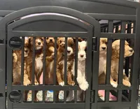 processed/377fd6f8-174f-4a97-b94e-13959b334527/listing/bbcc4b90-5888-4186-87f0-aa5a023abdb6/ec54bd9e-fe1b-4b03-a67c-7af4799431bf