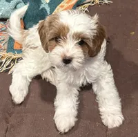 processed/377fd6f8-174f-4a97-b94e-13959b334527/listing/f9c0ab1a-a5f6-4af6-8507-f4f246adc673/a7c65868-6bef-4692-8b0b-6feabf8f05e1