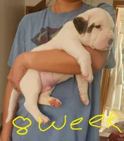 processed/37823fcb-45b8-492f-ad11-38a5a8ebcd3f/listing/f7d38f32-3936-4d50-b8a7-af1be582e30a/0075aebf-ba54-4b27-92e6-d3bdf4a834b2