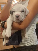 processed/37823fcb-45b8-492f-ad11-38a5a8ebcd3f/listing/f7d38f32-3936-4d50-b8a7-af1be582e30a/08ac10d7-520c-4c05-9689-d10d5dc391a0