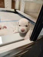 processed/37823fcb-45b8-492f-ad11-38a5a8ebcd3f/listing/f7d38f32-3936-4d50-b8a7-af1be582e30a/b13bd2c9-e760-433b-a372-9fd16c9bb67f