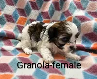 processed/37a7b8d0-ded4-4e9b-a3a8-fb85d0e7f857/listing/013fd989-c1ee-4752-84c5-a6ae06ead976/322eab4c-e071-48df-980a-54bf38487848