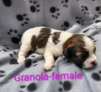 processed/37a7b8d0-ded4-4e9b-a3a8-fb85d0e7f857/listing/013fd989-c1ee-4752-84c5-a6ae06ead976/cd39c718-7dd4-4fe6-8bb1-ef64b72960fd