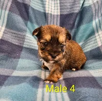 processed/37a7b8d0-ded4-4e9b-a3a8-fb85d0e7f857/listing/0ffe5ef3-ae95-4f54-b954-7b1c7c4cda30/dd42332a-17b7-4d12-bf4f-4f05736e2851