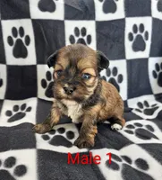 processed/37a7b8d0-ded4-4e9b-a3a8-fb85d0e7f857/listing/2a25d538-4110-4080-a980-645a39833b7f/2c628bab-1651-40b8-8cd1-786aac7e73c3