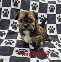 processed/37a7b8d0-ded4-4e9b-a3a8-fb85d0e7f857/listing/2a25d538-4110-4080-a980-645a39833b7f/8a960239-667b-4cd6-b3b7-006cf7aa5385