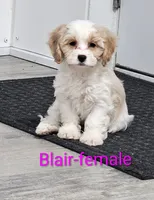 processed/37a7b8d0-ded4-4e9b-a3a8-fb85d0e7f857/listing/2e5114e6-ecd6-4fc3-9b22-d04263154a0f/2c4700b0-eef3-48a9-9c58-a853e4ae8703