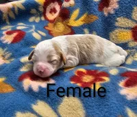 processed/37a7b8d0-ded4-4e9b-a3a8-fb85d0e7f857/listing/2e5114e6-ecd6-4fc3-9b22-d04263154a0f/7ea6c549-b6e7-4ed3-a493-2c39d5f8ac9a