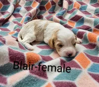 processed/37a7b8d0-ded4-4e9b-a3a8-fb85d0e7f857/listing/2e5114e6-ecd6-4fc3-9b22-d04263154a0f/82a3c50a-9a05-418b-a8f1-4ff93b1a225f