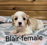 processed/37a7b8d0-ded4-4e9b-a3a8-fb85d0e7f857/listing/2e5114e6-ecd6-4fc3-9b22-d04263154a0f/ccf41ad9-1100-484f-9b9c-701ee338f8bc