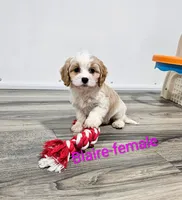 processed/37a7b8d0-ded4-4e9b-a3a8-fb85d0e7f857/listing/2e5114e6-ecd6-4fc3-9b22-d04263154a0f/fdb4f6fb-7f97-4193-bfbb-ca76c3a0b855