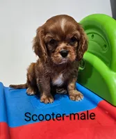 processed/37a7b8d0-ded4-4e9b-a3a8-fb85d0e7f857/listing/336c8752-414b-405c-ae73-8436a5d251d1/44df5161-bd5d-447a-bfdc-d2a8030f2d52