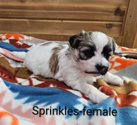 processed/37a7b8d0-ded4-4e9b-a3a8-fb85d0e7f857/listing/3dc6714b-8033-4256-b203-0a7ad0a558f5/b2deeffb-f3e1-44be-bf60-2fa08459cc27