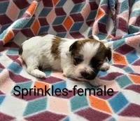 processed/37a7b8d0-ded4-4e9b-a3a8-fb85d0e7f857/listing/3dc6714b-8033-4256-b203-0a7ad0a558f5/df370314-eabe-4f52-ba0e-1c285ba2ca3c