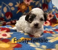 processed/37a7b8d0-ded4-4e9b-a3a8-fb85d0e7f857/listing/4997fac1-e7e8-48ee-a39b-3c942f529417/729b296f-5fcb-45a5-9138-a067812cbf8a