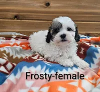 processed/37a7b8d0-ded4-4e9b-a3a8-fb85d0e7f857/listing/4997fac1-e7e8-48ee-a39b-3c942f529417/d67f631d-765f-4fcc-8de6-b18578b4248f