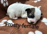 processed/37a7b8d0-ded4-4e9b-a3a8-fb85d0e7f857/listing/4997fac1-e7e8-48ee-a39b-3c942f529417/d7a2df2b-0bdc-4053-b8e2-c03fcee9a0b4