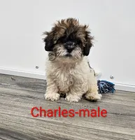 processed/37a7b8d0-ded4-4e9b-a3a8-fb85d0e7f857/listing/4abb1f09-806c-4acc-a338-c2f9fb46ea0e/3755fd0c-bb58-4c83-a597-2f3aabe8f63f