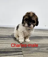 processed/37a7b8d0-ded4-4e9b-a3a8-fb85d0e7f857/listing/4abb1f09-806c-4acc-a338-c2f9fb46ea0e/3ecbeb47-3f20-41d5-8a3b-d0b02e612aa2