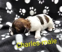 processed/37a7b8d0-ded4-4e9b-a3a8-fb85d0e7f857/listing/4abb1f09-806c-4acc-a338-c2f9fb46ea0e/808ba0af-598c-45fb-a2f6-badce87a51c4