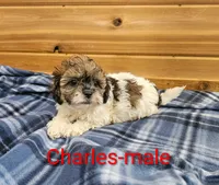 processed/37a7b8d0-ded4-4e9b-a3a8-fb85d0e7f857/listing/4abb1f09-806c-4acc-a338-c2f9fb46ea0e/9ec9d989-72a5-439c-82a3-2a4e0b203083