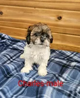 processed/37a7b8d0-ded4-4e9b-a3a8-fb85d0e7f857/listing/4abb1f09-806c-4acc-a338-c2f9fb46ea0e/ee42e594-0060-4b82-ac95-957eae37f4f0