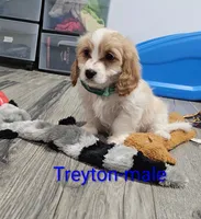 processed/37a7b8d0-ded4-4e9b-a3a8-fb85d0e7f857/listing/4e4e9b65-1e61-4953-8e85-d75bc9fc3461/174ba5fb-23ef-4475-9d0b-3338db92c743