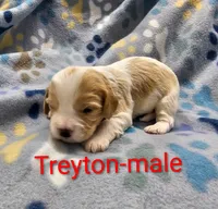 processed/37a7b8d0-ded4-4e9b-a3a8-fb85d0e7f857/listing/4e4e9b65-1e61-4953-8e85-d75bc9fc3461/1f8e118b-88d9-4ae3-8a19-5770ee73349d