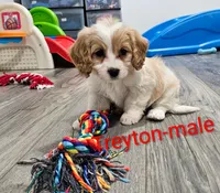 processed/37a7b8d0-ded4-4e9b-a3a8-fb85d0e7f857/listing/4e4e9b65-1e61-4953-8e85-d75bc9fc3461/804d00c9-2f2e-4f48-9a0e-549f8299886c