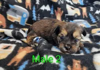 processed/37a7b8d0-ded4-4e9b-a3a8-fb85d0e7f857/listing/4eb20497-10d9-4f75-a5d2-4166ff122315/a645d626-f5ba-4b43-991c-b2f099122bbb