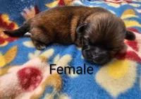 processed/37a7b8d0-ded4-4e9b-a3a8-fb85d0e7f857/listing/4f63e515-c95f-42ac-806e-9970672e5e33/7659501f-680d-4154-9c9d-d0f70102ffd8